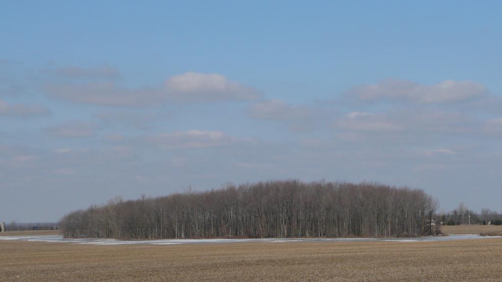 Foto de London (Ontario), Canadá