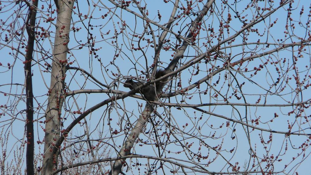 Foto de London (Ontario), Canadá