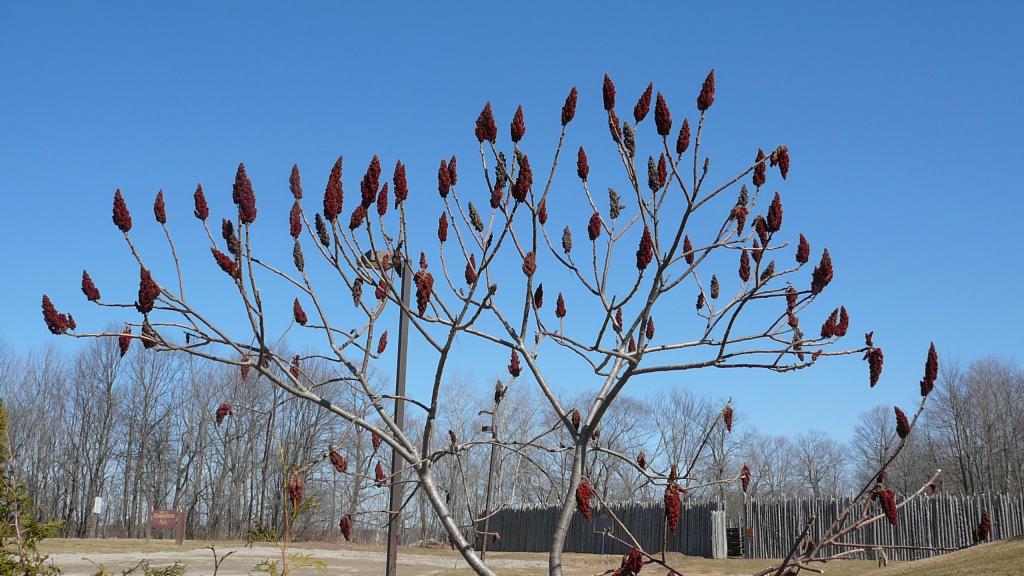 Foto de London (Ontario), Canadá