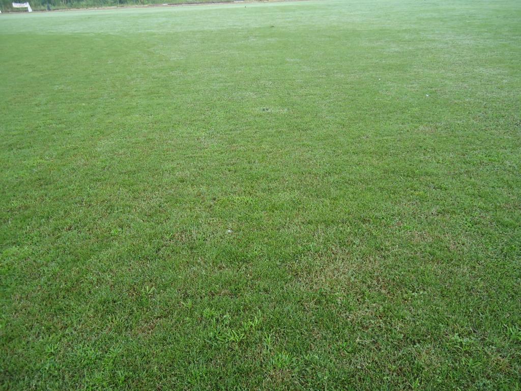 Foto de Puyo, Ecuador