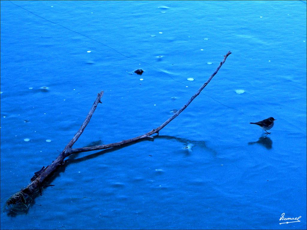 Foto de Arguis (Huesca), España