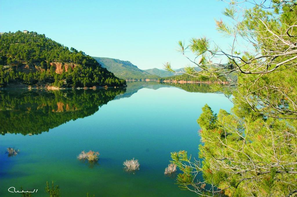 Foto de Campos de Abajo (València), España