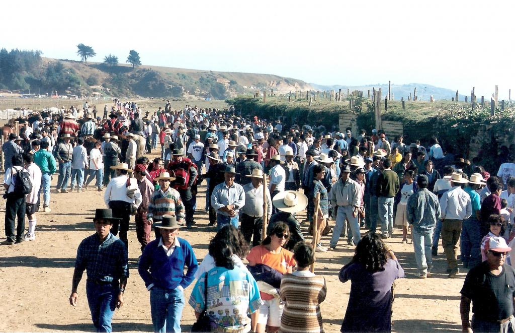 Foto de Cobquecura, Chile
