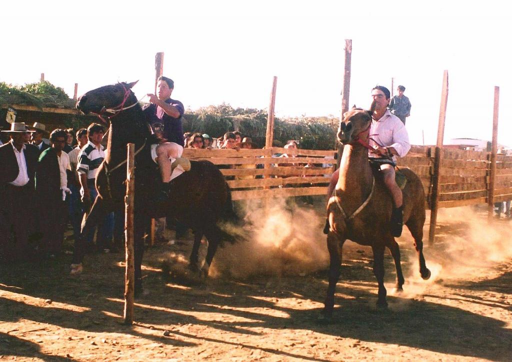 Foto de Cobquecura, Chile