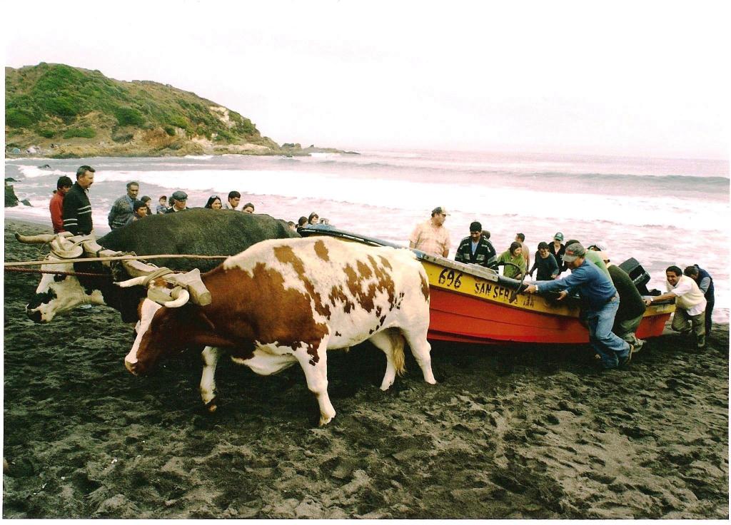 Foto de Cobquecura, Chile