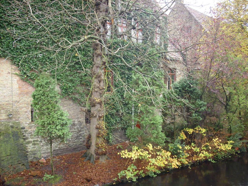 Foto de Brugge, Bélgica