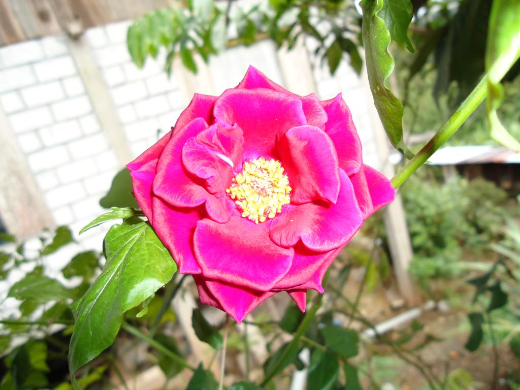 Foto de Te Zulay (Shell), Ecuador
