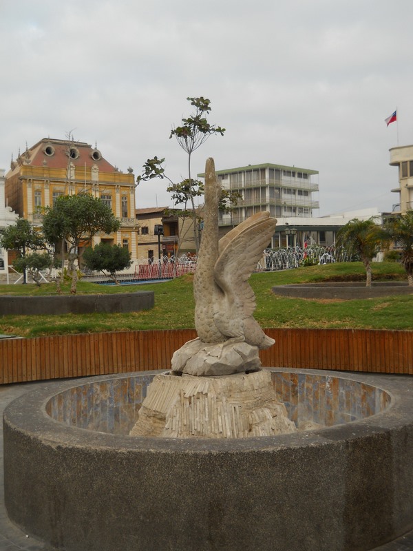 Foto: iquique 2011 - iquique (Tarapacá), Chile