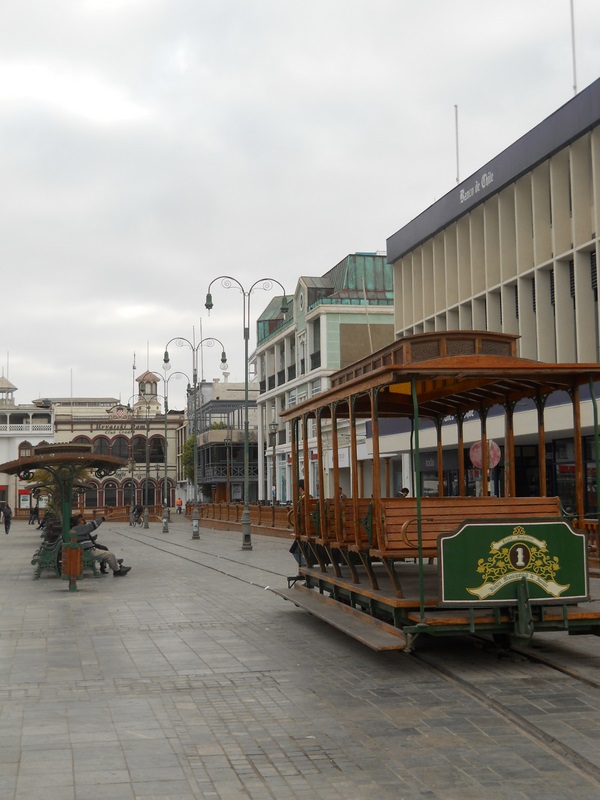 Foto: iquique 2011 - Iquique (Tarapacá), Chile