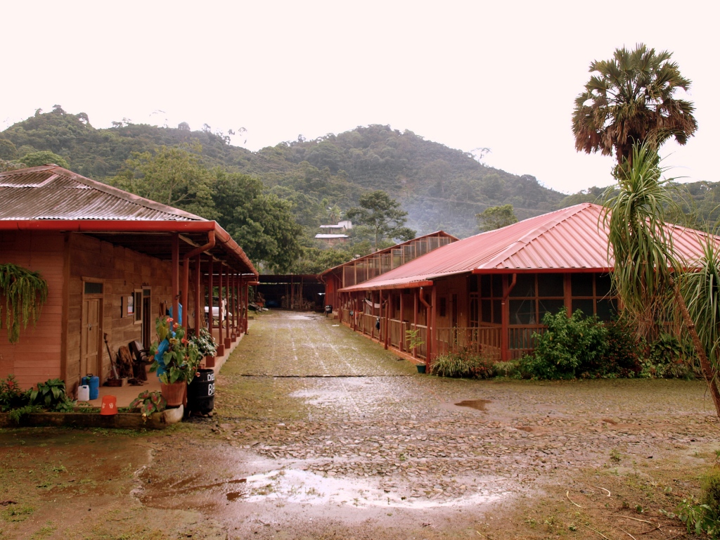 Foto: Finca Villa Alicia - San Rafael Pie de la Cuesta (San Marcos), Guatemala