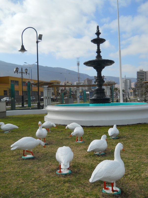 Foto: Iquique 2011 - Iquique (Tarapacá), Chile
