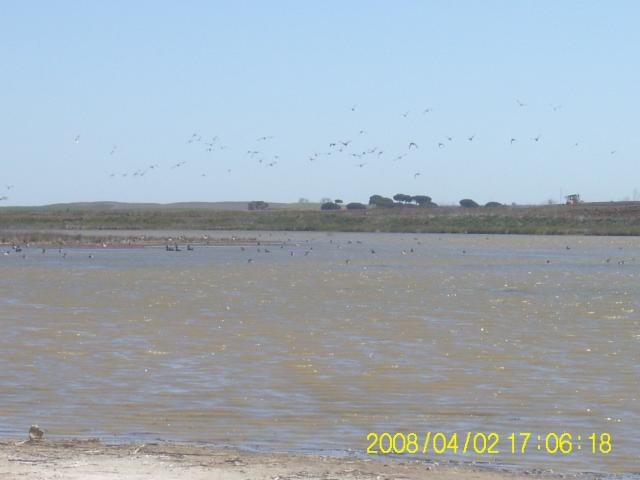 Foto: laguna - Villarrin de Campos (Zamora), España