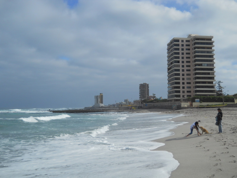 Foto: Iquique 2011 - Iquique (Tarapacá), Chile