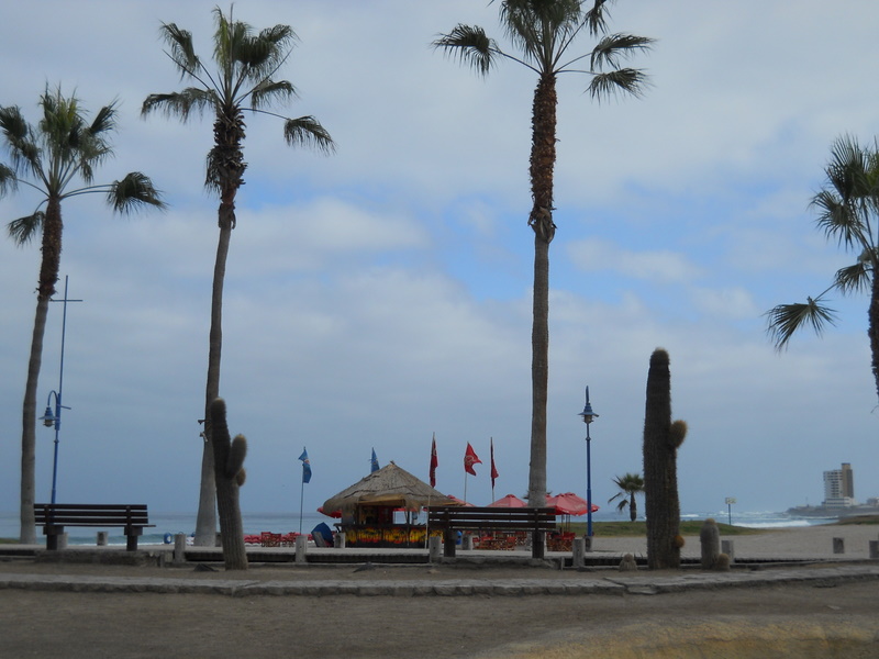 Foto: Iquique 2011 - Iquique (Tarapacá), Chile