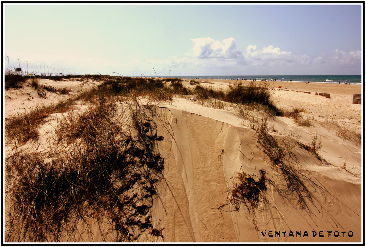 Foto: DUNAS PLAYA DE CORTADURA - Cádiz (Andalucía), España