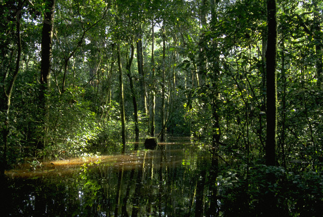 Foto de San Martin (Amazonas), Perú