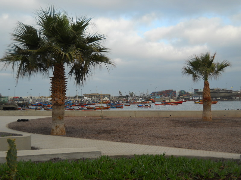 Foto: iquique 2011 - Iquique (Tarapacá), Chile