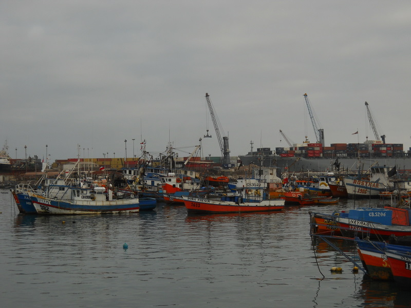 Foto: Iquique 2011 - Iquique (Tarapacá), Chile