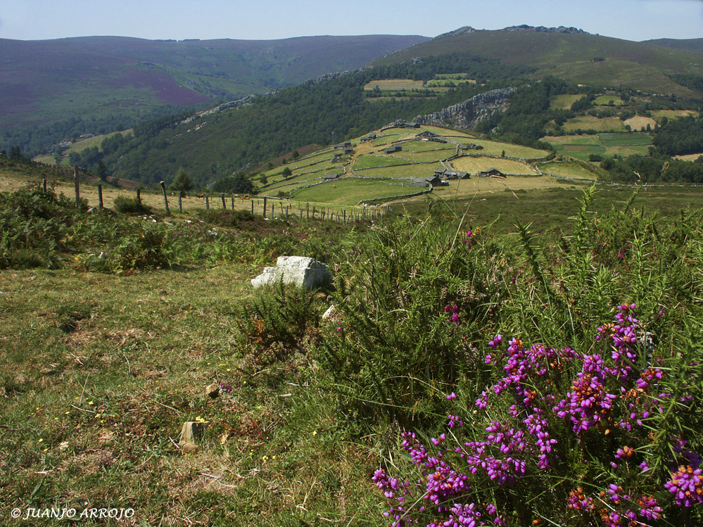 Foto: Braña de Campel - Allande (Asturias), España
