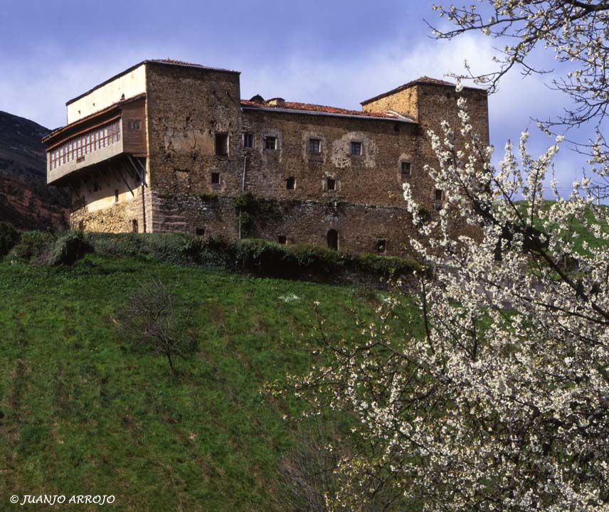 Foto: Palacio de Cienfuegos - Allande (Asturias), España