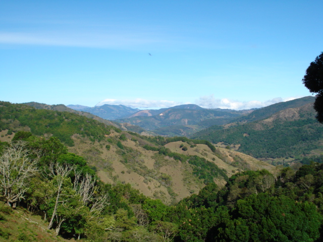 Foto: Copey de Dota - Copey de Dota (San José), Costa Rica