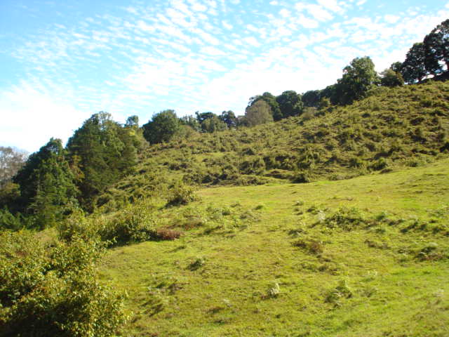Foto: Copey de Dota - Copey de Dota (San José), Costa Rica