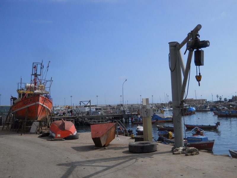 Foto: Iquique 2011 - Iquique (Tarapacá), Chile