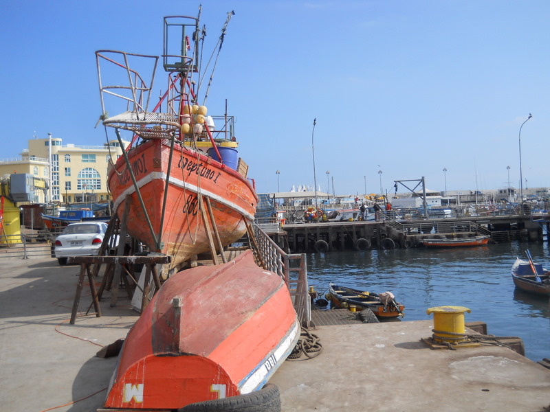 Foto: Iquique 2011 - Iquique (Tarapacá), Chile