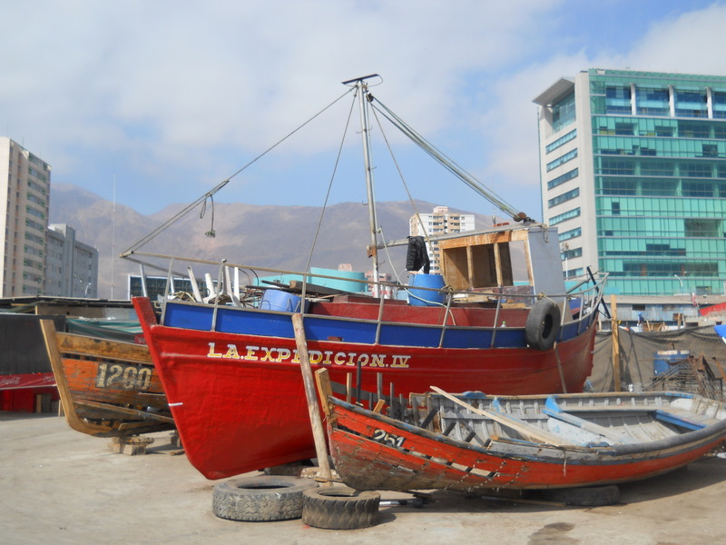 Foto: Iquique 2011 - Iquique (Tarapacá), Chile