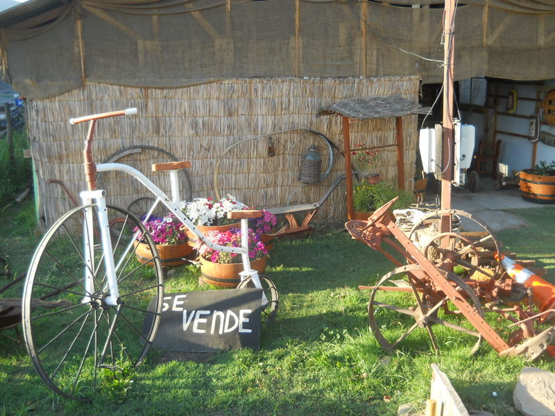Foto: campo - San Felipe (Valparaíso), Chile