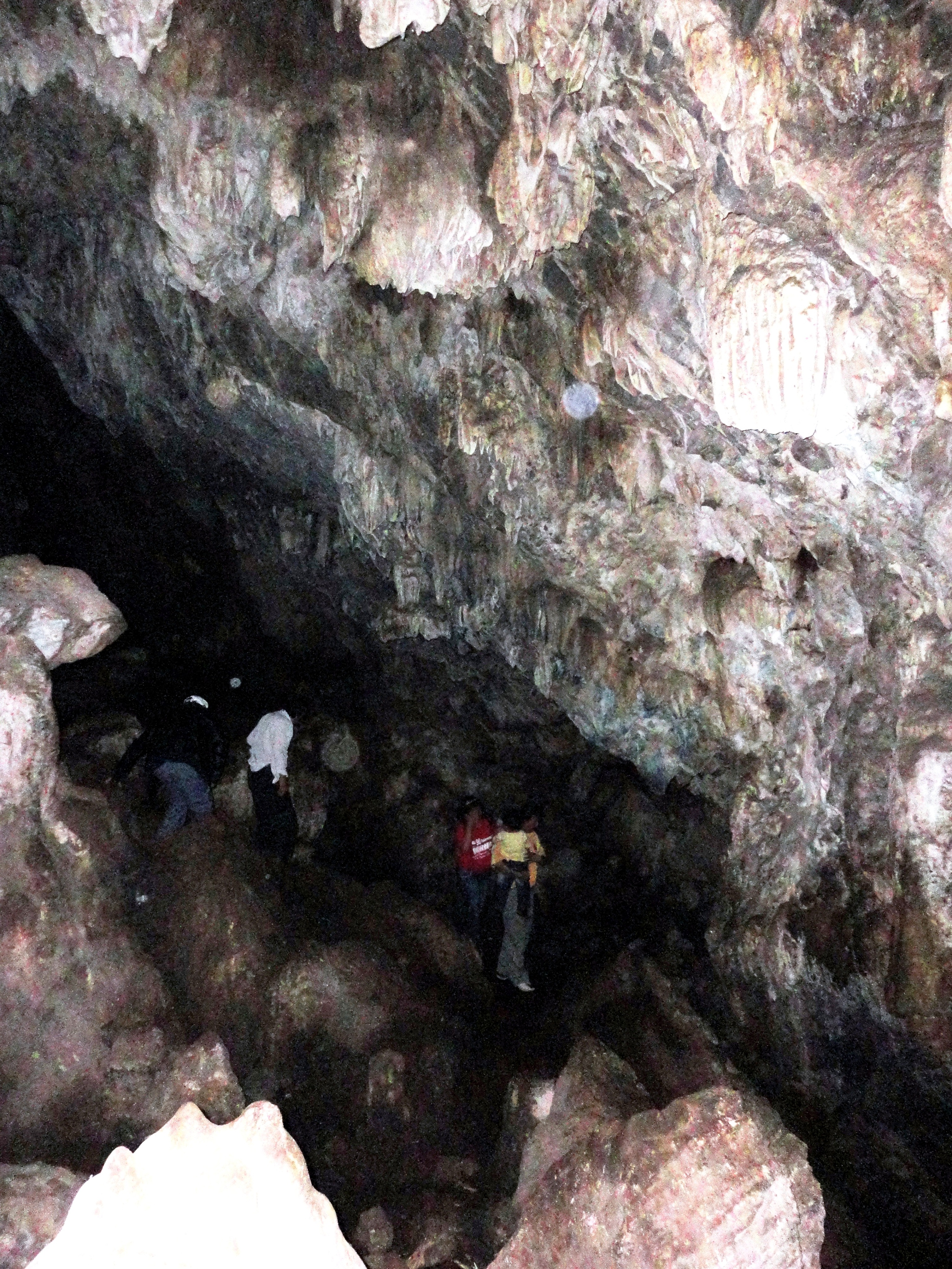 Foto: Cueva De Los Gallitos De Las Rocas - Oxapampa (Pasco), Perú