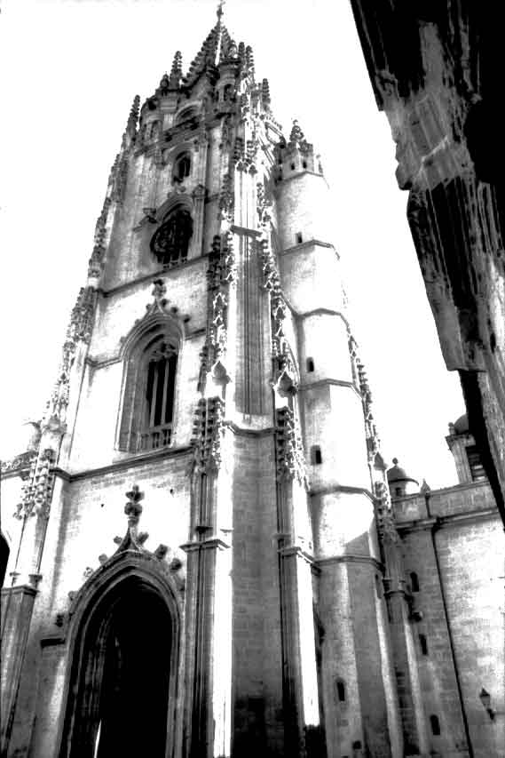 Foto: Catedral de Oviedo - Oviedo (Asturias), España