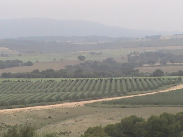 Foto de El Fahs (Al Qayrawān), Túnez