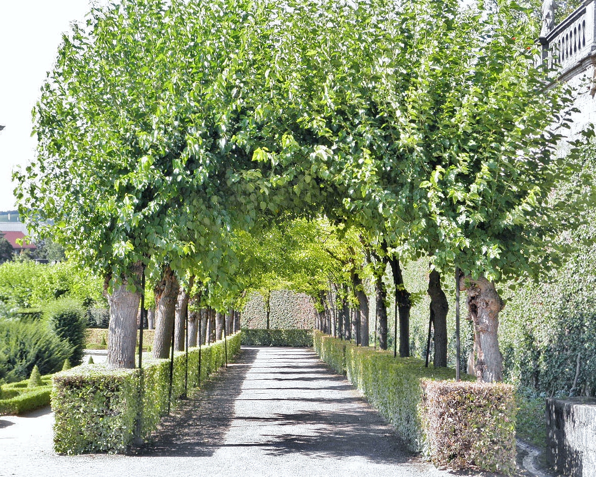 Foto: Jardín de La Residencia - Würzburg (Bavaria), Alemania