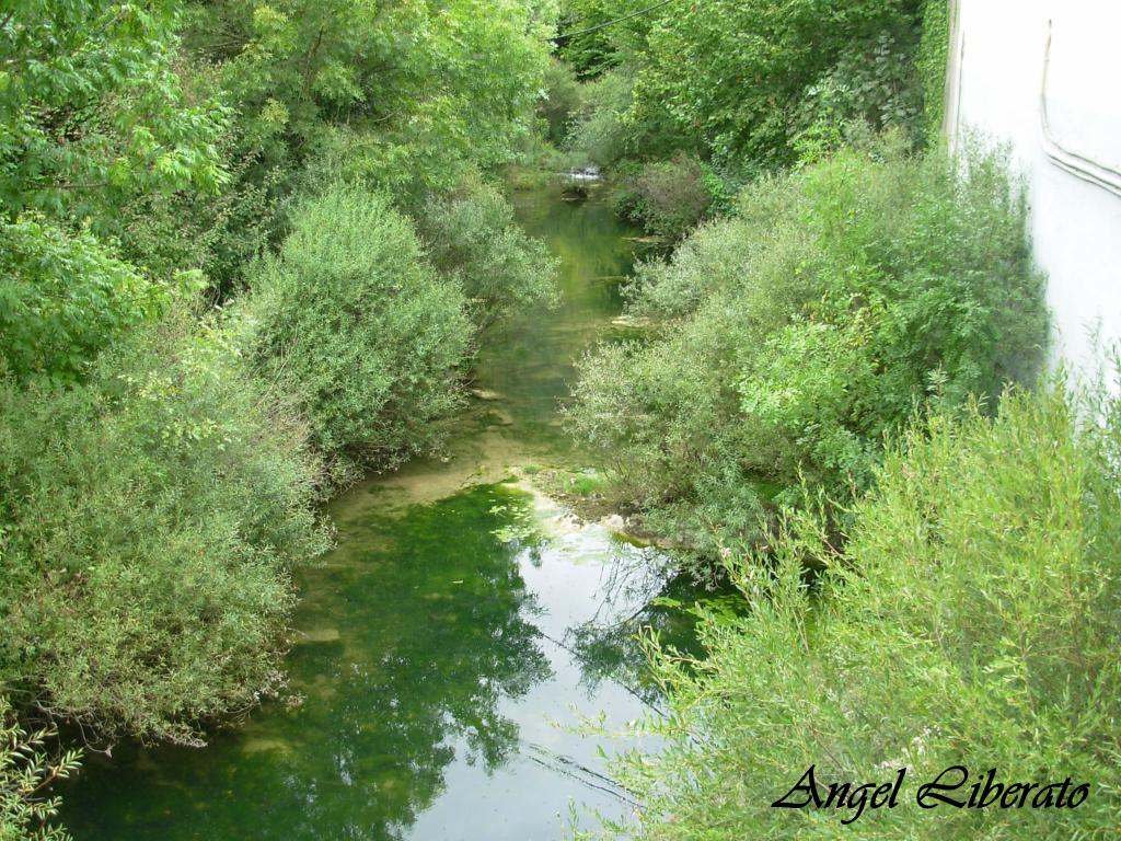 Foto: Feria - Angosto (Álava), España