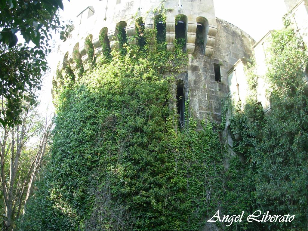 Foto: Castillo De Butrón - Gatica (Vizcaya), España