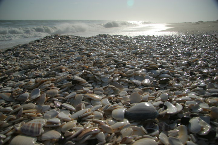 Foto de Punta Abreojos (Baja California Sur), México