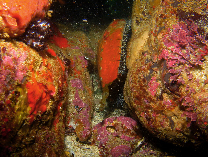 Foto de Punta Abreojos (Baja California Sur), México