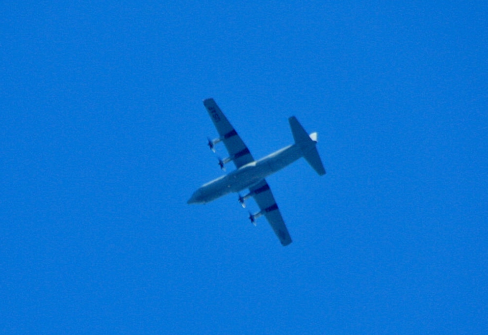 Foto: Cazada al vuelo - Nuremberg (Nürnberg) (Bavaria), Alemania