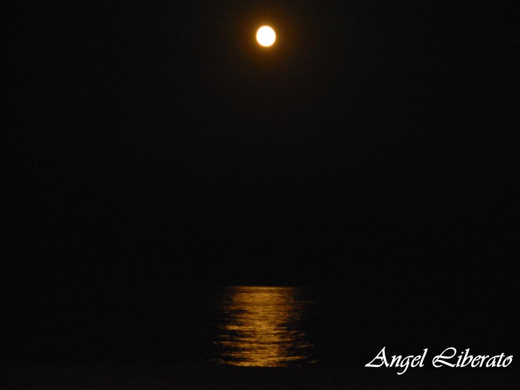 Foto: LUNA - Peñíscola (Castelló), España