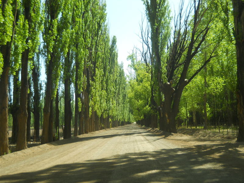 Foto: Centro De Uspallata - Uspallata (Mendoza), Argentina