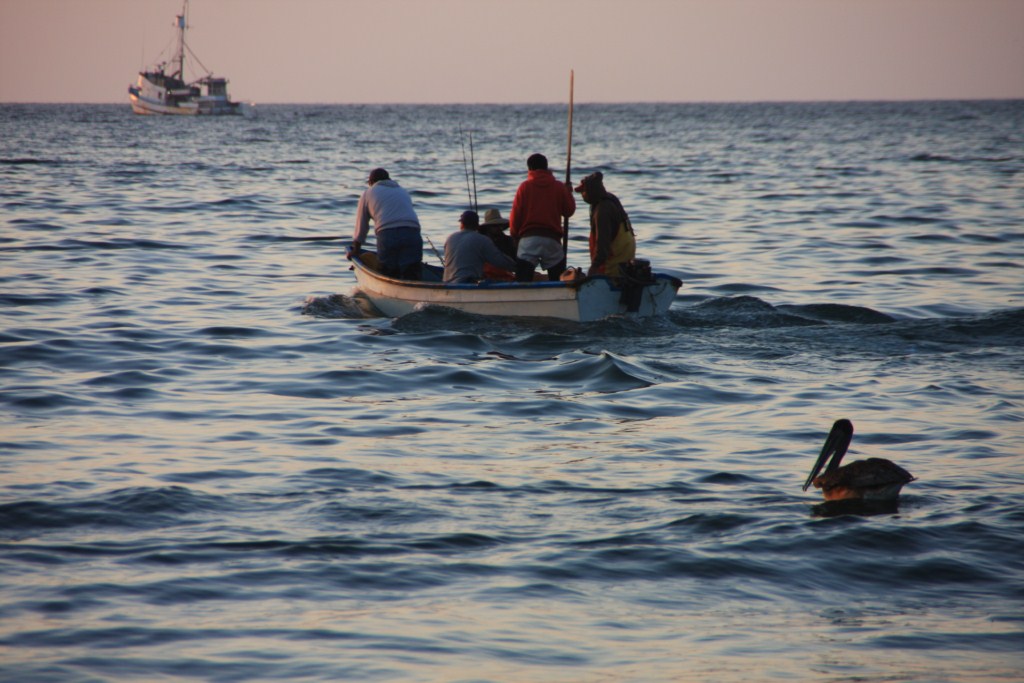 Foto: visita - Bahia Asuncion (Baja California Sur), México