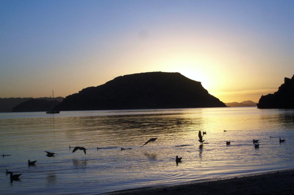 Foto: Amanecer - Bahia Concepcion (Baja California Sur), México