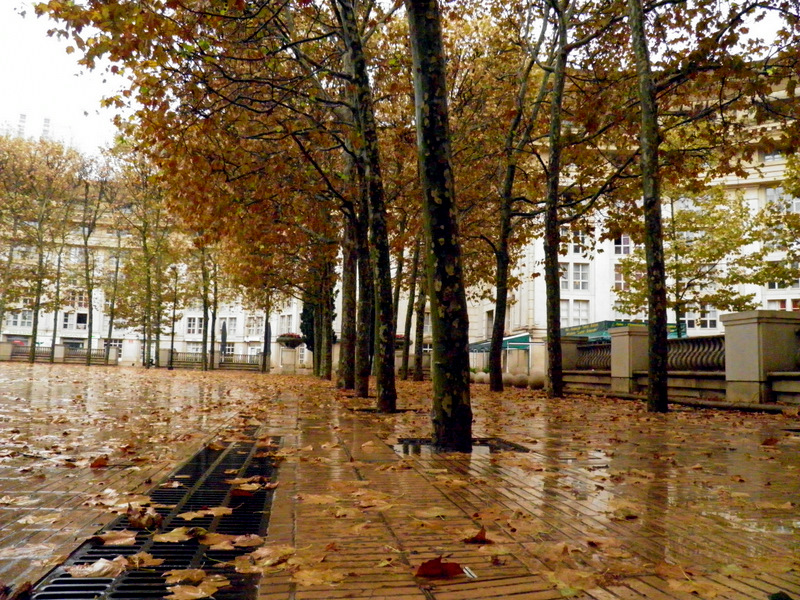 Foto: Otoño - Montpellier (Languedoc-Roussillon), Francia