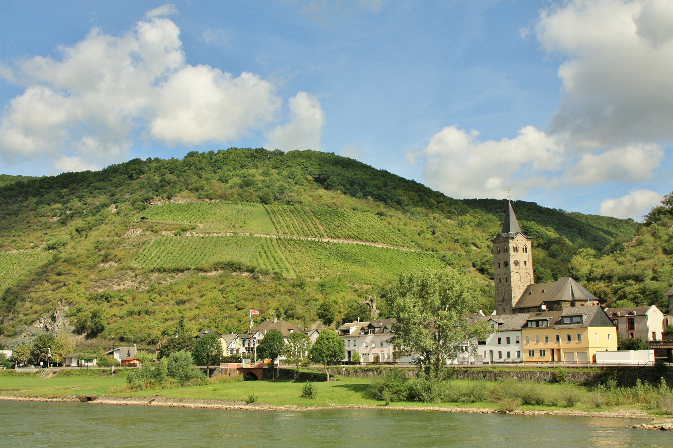 Foto: Vistas desde el  Rhine - Wellmich (Rhineland-Palatinate), Alemania