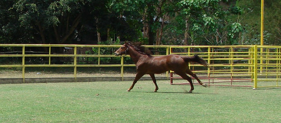 Foto de Paracotos, Venezuela