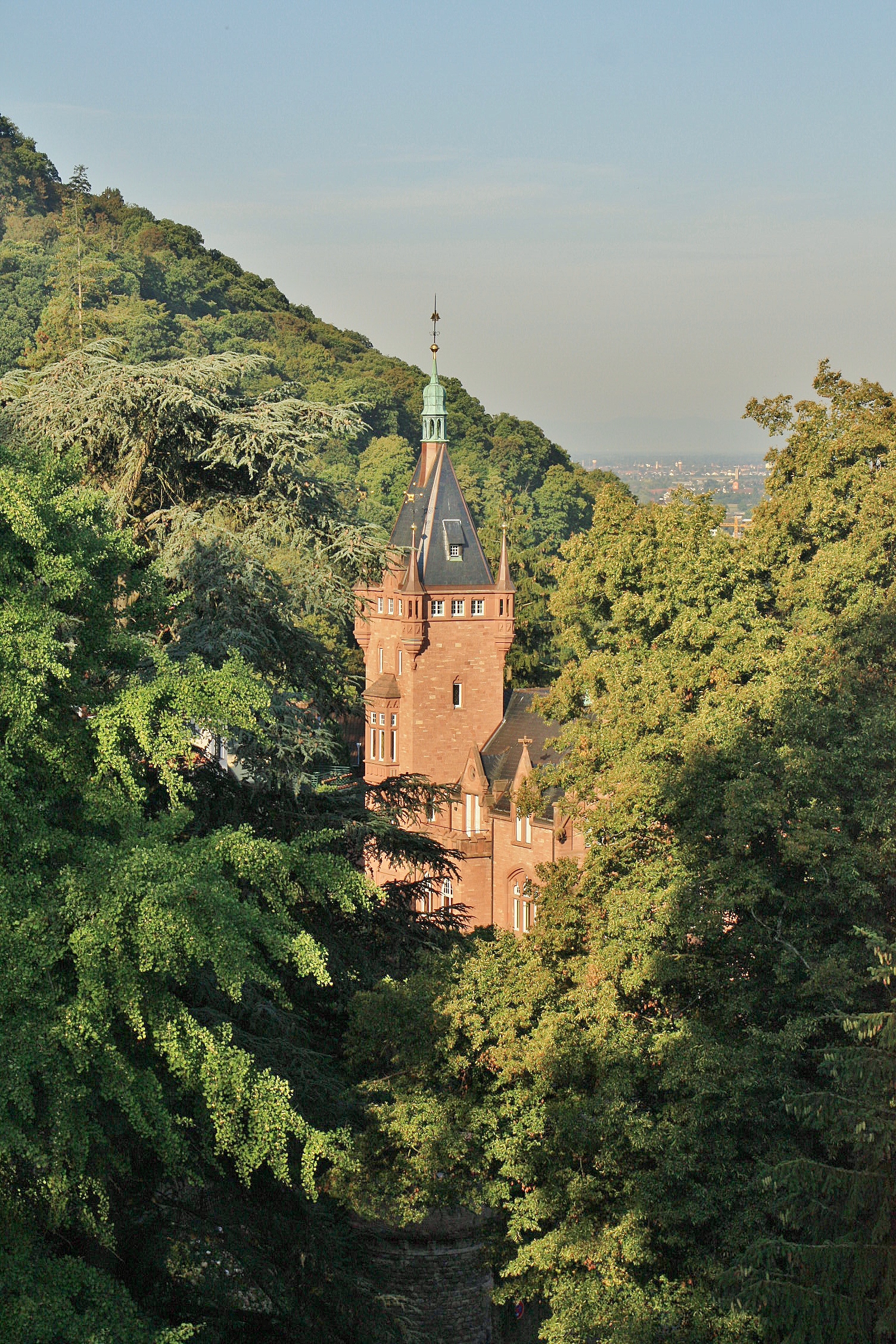 Foto: Entre el bosque - Heidelberg (Baden-Württemberg), Alemania