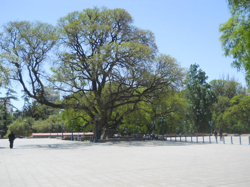 Foto: centro de mendoza - Mendoza, Argentina
