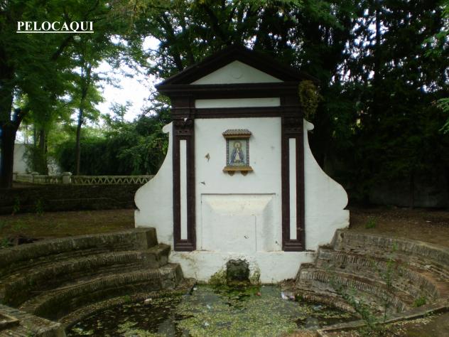 Foto: PELOCAQUI - Palma Del Rio (Córdoba), España