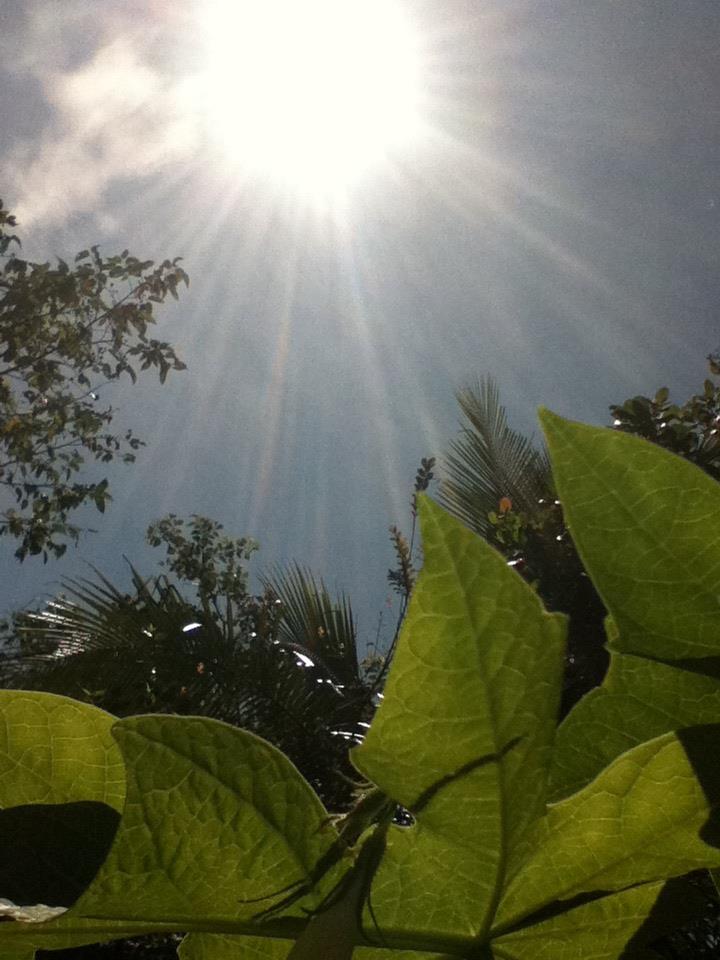 Foto: Homenaje al dios sol - Delicias de Concepcion (Morazán), El Salvador